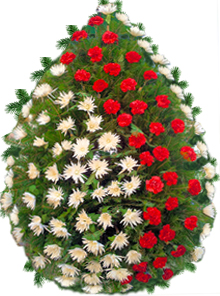 coroana 100 garoafe crizanteme