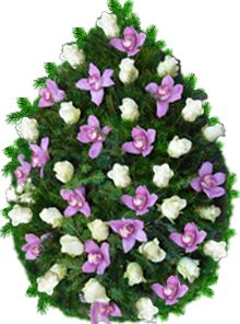 coroana orhidee vernil