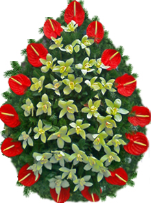 coroana orhidee anthurium