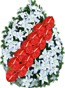 coroana trandafiri anthurium