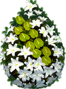 coroana crini anthurium