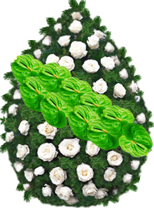 coroana trandafiri anthurium