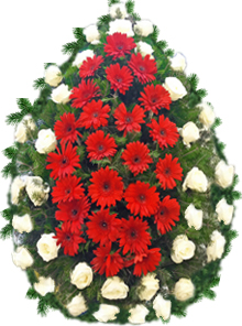 coroana trandafiri gerbera