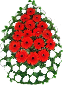 coroana crizanteme gerbera