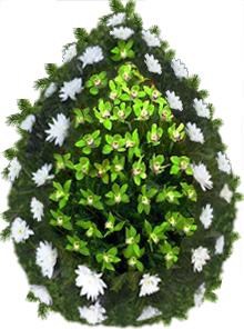 coroana crizanteme orhidee