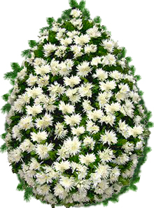 coroana 100 crizanteme