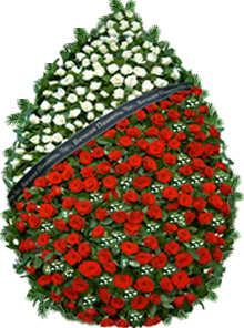 coroana 100 trandafiri gypsophilla