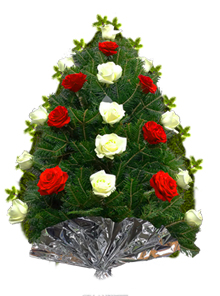 jerba trandafiri albi rosi