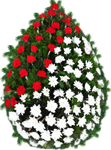 coroana garoafe crizanteme