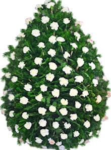 coroana 100 garoafe albe