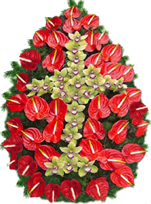 coroana orhidee anthurium