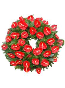 coroana rotunda anthurium trandafiri gerbera