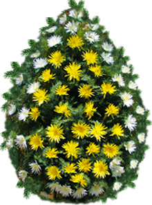 coroana crizanteme medalion