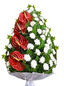 jerba anthurium crizanteme