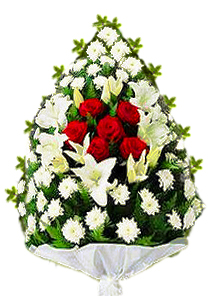 jerba crini crizanteme trandafiri